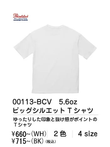 00113-BCV